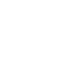 Zyphico HealthCheck Services